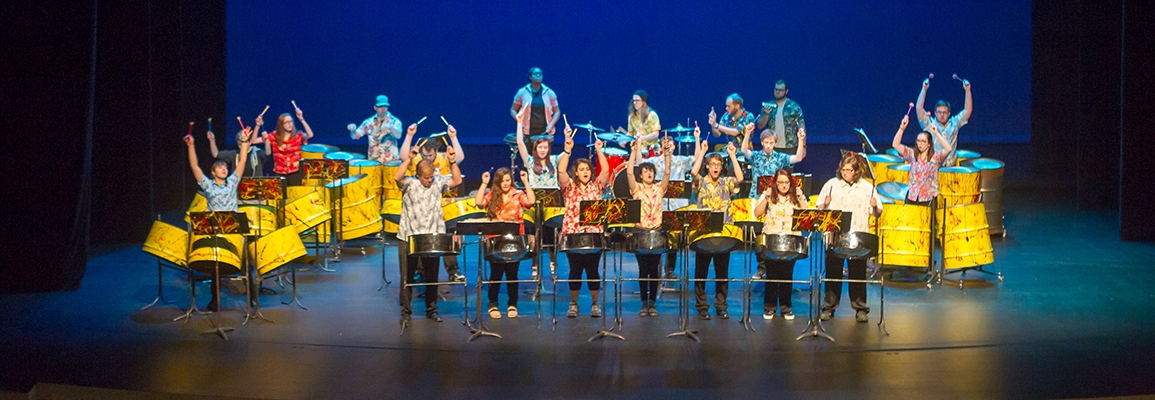 A Steely Pan Steel Band concert (pre-COVID).